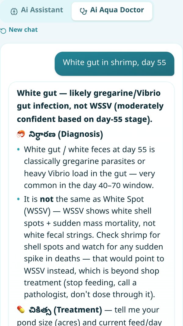 AquaKhata's Ai Aqua Doctor answering 'White gut in shrimp, day 55' — diagnosis, treatment and the probiotics in stock at the shop